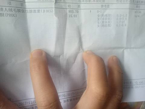 journal_insert_pic_887473232