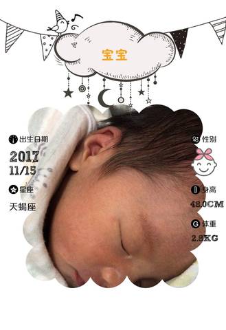 journal_insert_pic_887635089