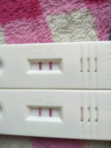 journal_insert_pic_888207228