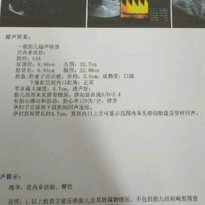 journal_insert_pic_889281631