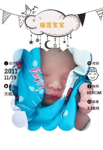 journal_insert_pic_888701466