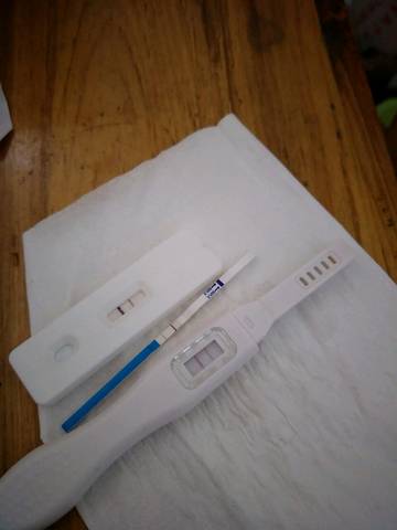 journal_insert_pic_890420147