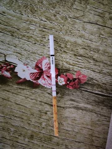 journal_insert_pic_890076735