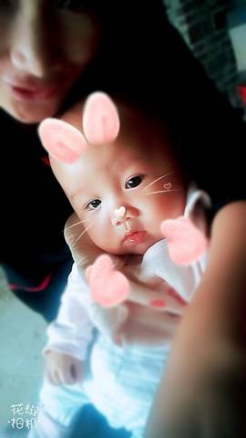 journal_insert_pic_890235472