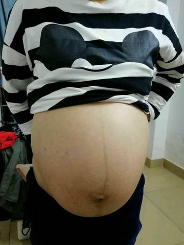 journal_insert_pic_890246465