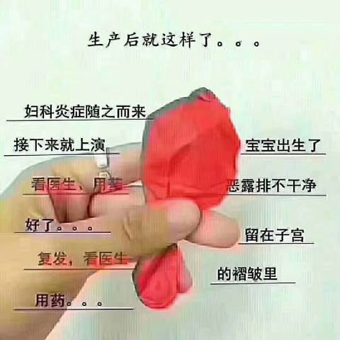 journal_insert_pic_890733078