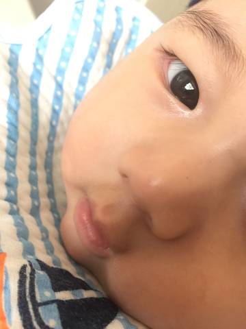 journal_insert_pic_891340250