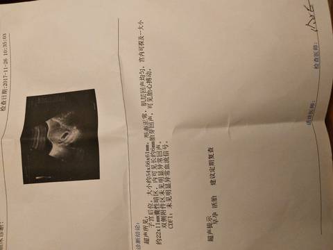 journal_insert_pic_892321231