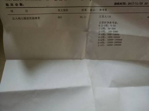 journal_insert_pic_892150038
