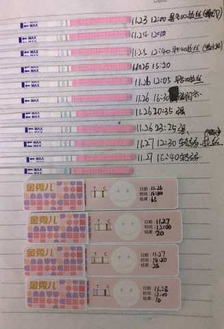 journal_insert_pic_893814846