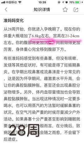 journal_insert_pic_894544039