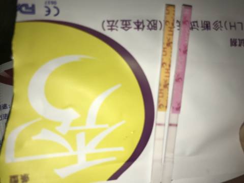 journal_insert_pic_894124152