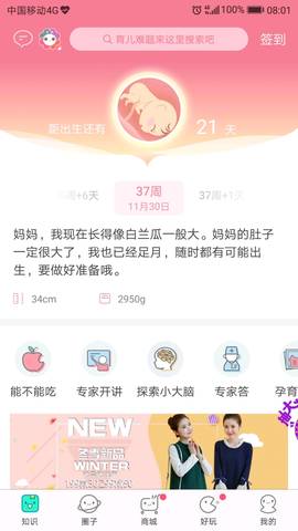 journal_insert_pic_894838071