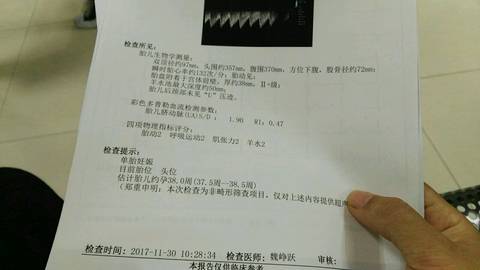 journal_insert_pic_895077894