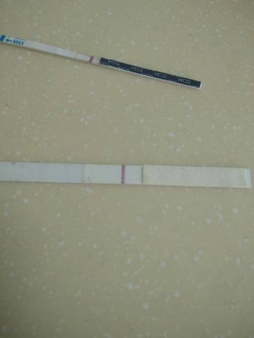 journal_insert_pic_894960562