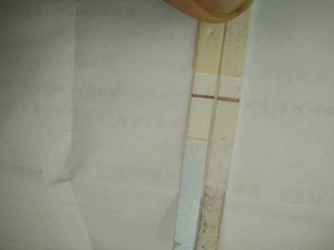 journal_insert_pic_894960597