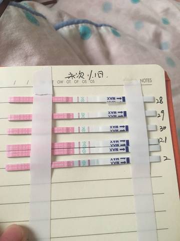 journal_insert_pic_896562617
