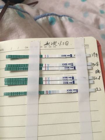 journal_insert_pic_896562591