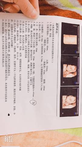 journal_insert_pic_896757732