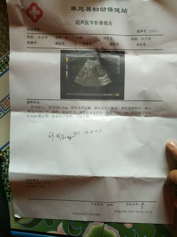 journal_insert_pic_897968425