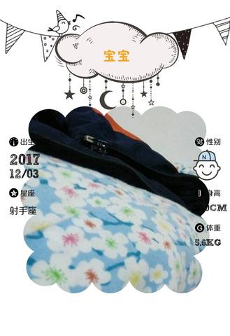 journal_insert_pic_897670408