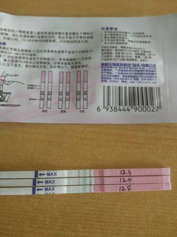 journal_insert_pic_898634534