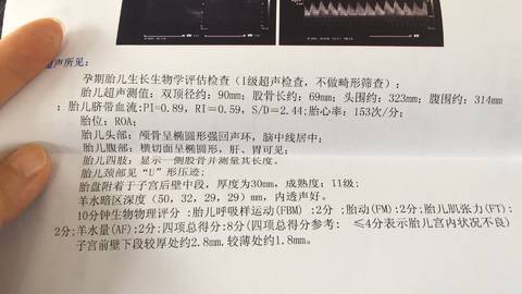 journal_insert_pic_899913448