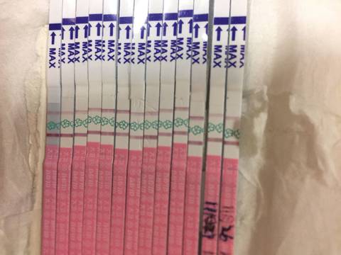journal_insert_pic_899910324