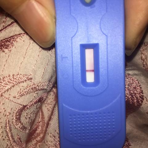 journal_insert_pic_900740360