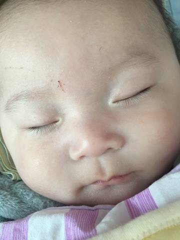 journal_insert_pic_901814658