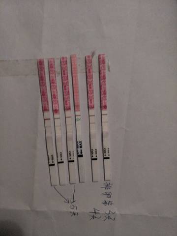 journal_insert_pic_902126859
