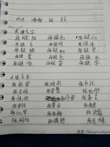 journal_insert_pic_902517962