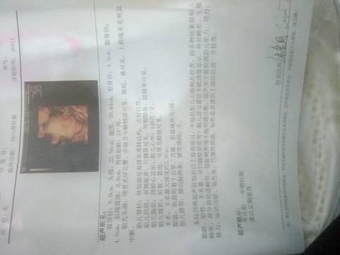 journal_insert_pic_903199551