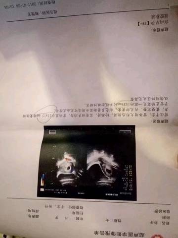 journal_insert_pic_903248328