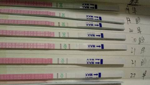 journal_insert_pic_904678987