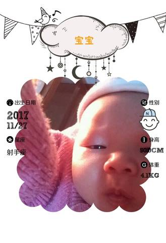journal_insert_pic_905346976