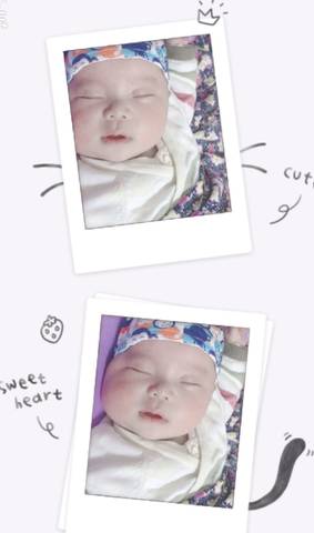 journal_insert_pic_905559046