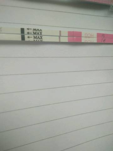 journal_insert_pic_905755406