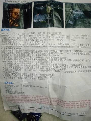 journal_insert_pic_906648428