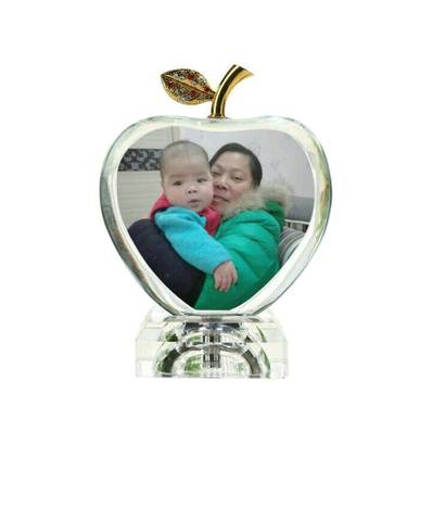 journal_insert_pic_906478924