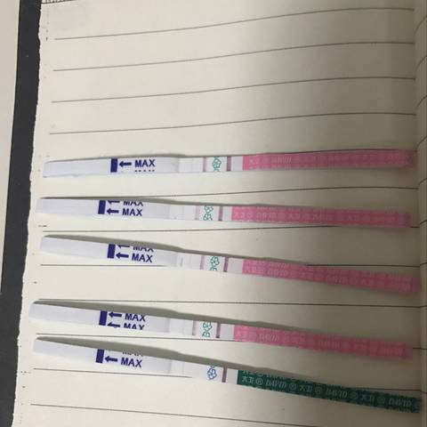 journal_insert_pic_907996441