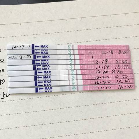 journal_insert_pic_908451977
