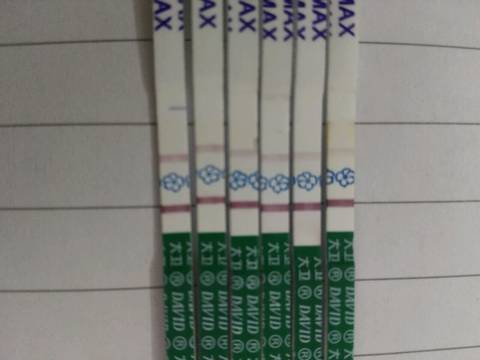 journal_insert_pic_908405329