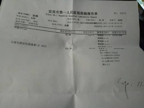 journal_insert_pic_909211628