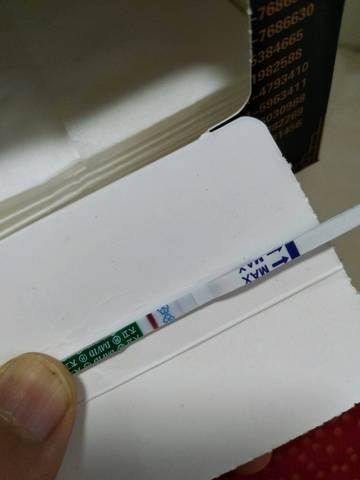 journal_insert_pic_910079606