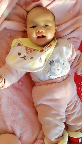 journal_insert_pic_910175664