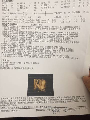 journal_insert_pic_910336744