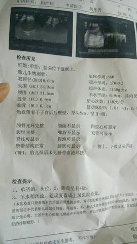journal_insert_pic_910730032