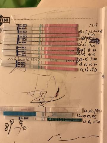 journal_insert_pic_912647213