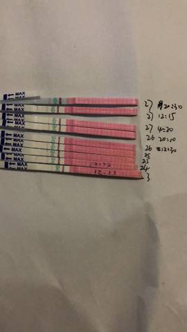 journal_insert_pic_913492512